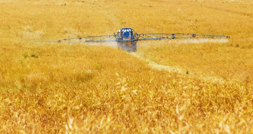 Rinnovabili • Pesticidi: due terzi delle terre arabili sono inquinati