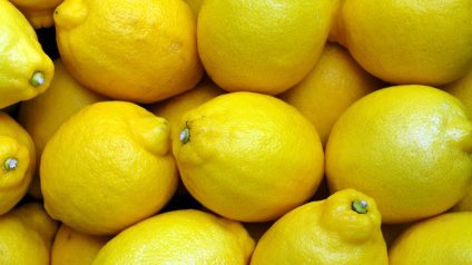 Rinnovabili • limoni