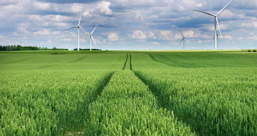 Rinnovabili • Transizione energetica: l’impatto della nuova legge sul clima UE