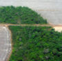 Disboscamento dell’Amazzonia: nuova legge aumenterà la deforestazione