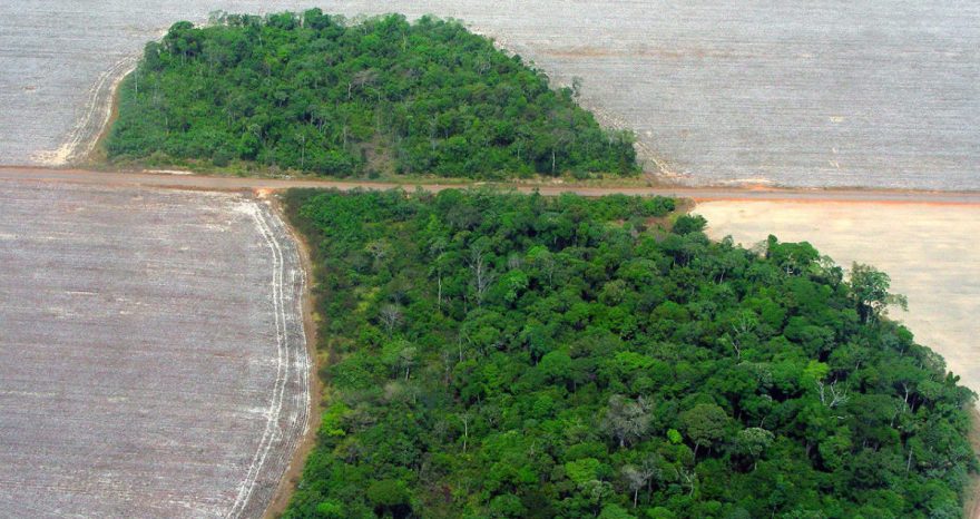 Rinnovabili • Deforestazione dell’Amazzonia: impennata ad aprile, +43%