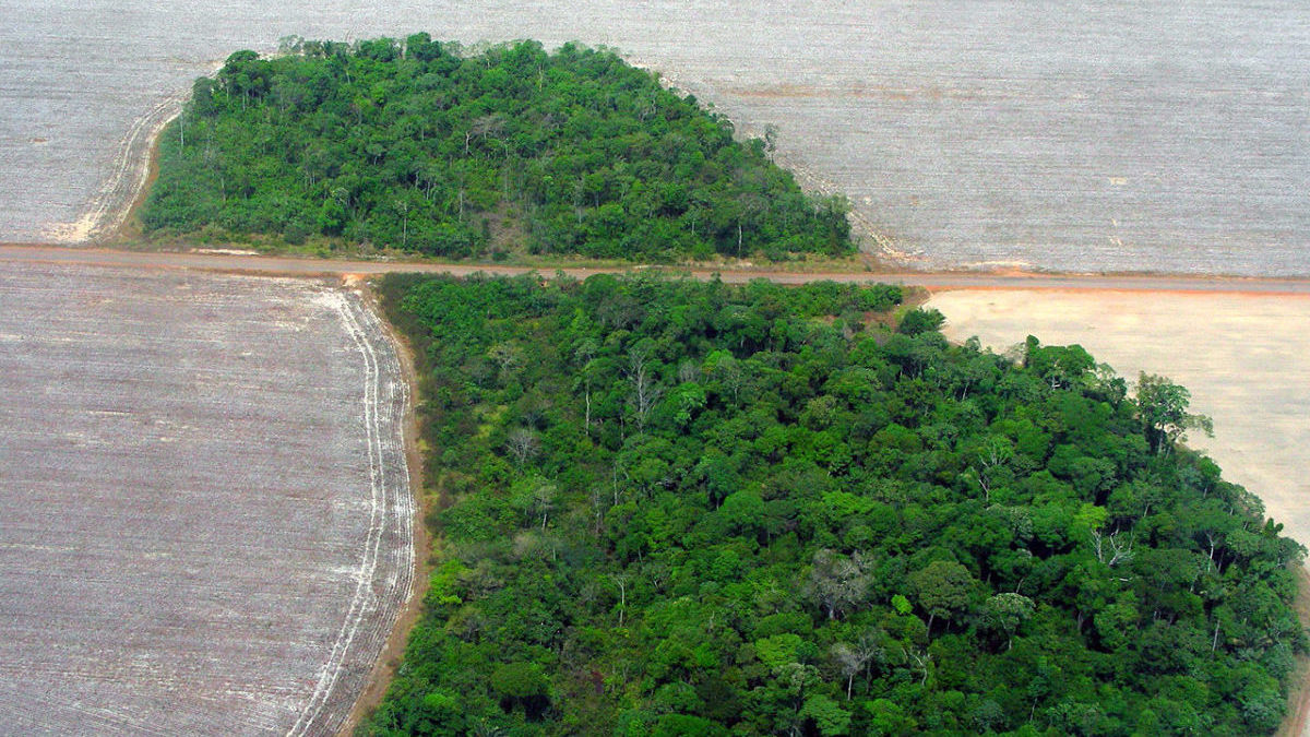 Deforestazione dell’Amazzonia: impennata ad aprile, +43%