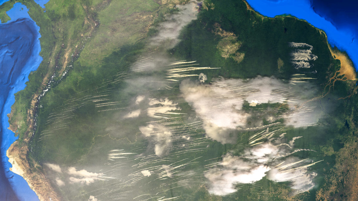 Rinnovabili • Incendi in Amazzonia: si prepara una stagione da record in Brasile