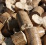 Riforma RED II: l’UE deve riscrivere la parte sulle biomasse