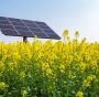 Fotovoltaico e biodiversità