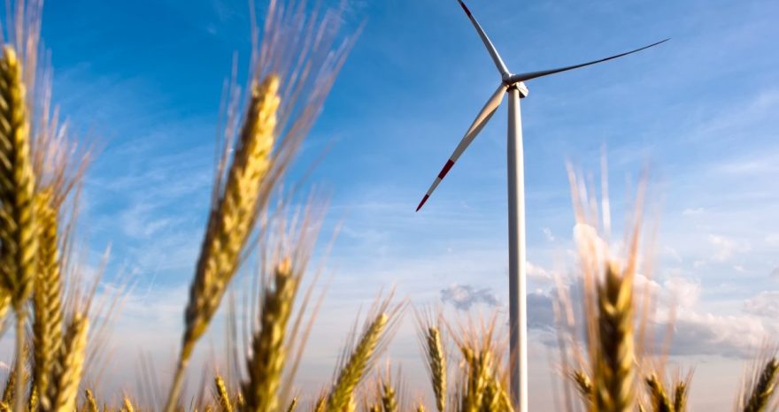 Rinnovabili • Transizione ecologica: 7 miti da sfatare sulle rinnovabili