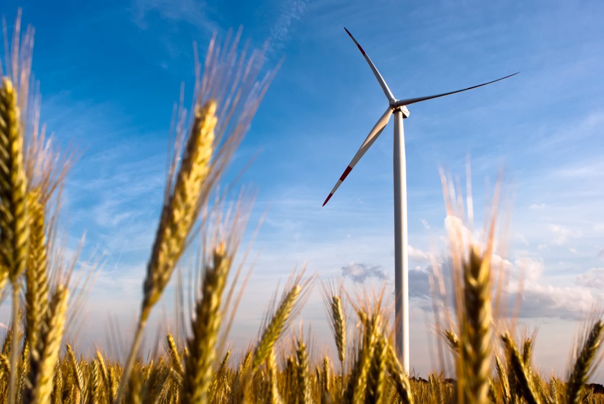 Rinnovabili • Transizione ecologica: 7 miti da sfatare sulle rinnovabili