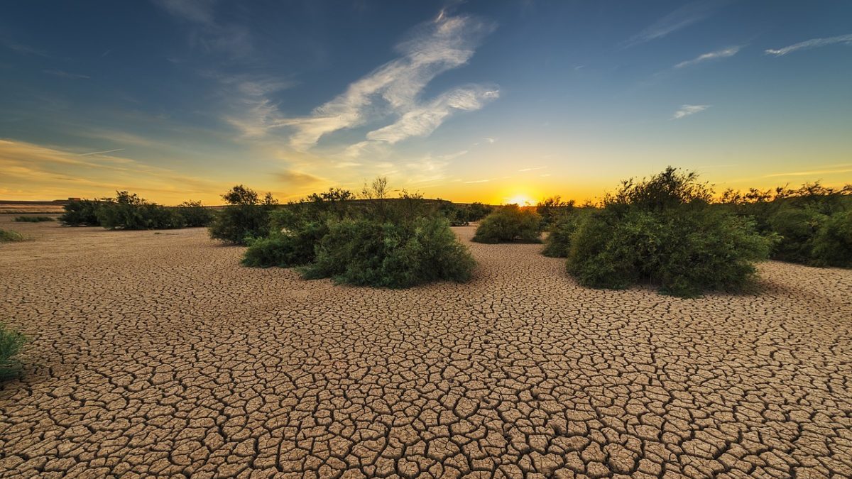 Rinnovabili • Crisi climatica: quanto costa il business as usual da qui al 2050