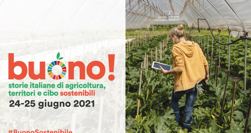 Rinnovabili • Buono! Storie italiane di agricoltura