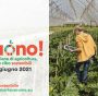 Buono! Storie italiane di agricoltura