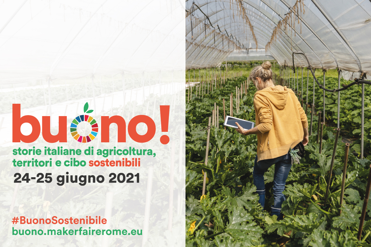 Rinnovabili • Buono! Storie italiane di agricoltura