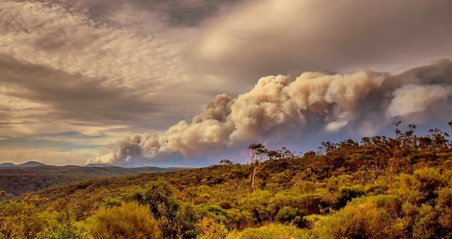 Rinnovabili • Effetti della pandemia sul clima: pesano di più gli incendi in Australia