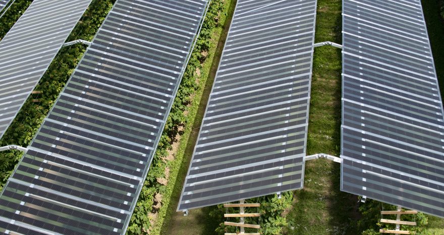 Rinnovabili • impianto agri fotovoltaico