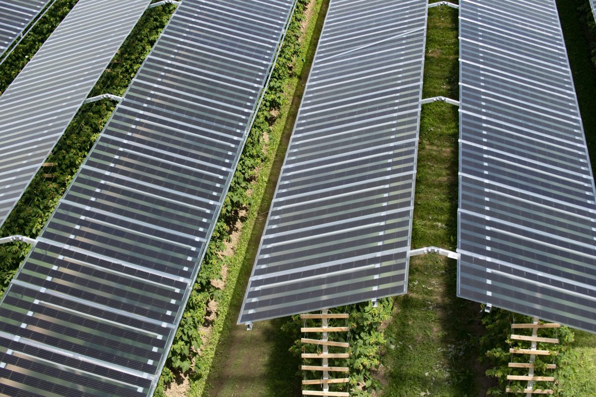 impianto agri fotovoltaico