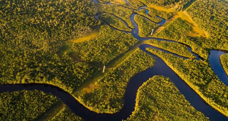 Rinnovabili • Foresta amazzonica: ufficiale, ormai è un emettitore netto di CO2