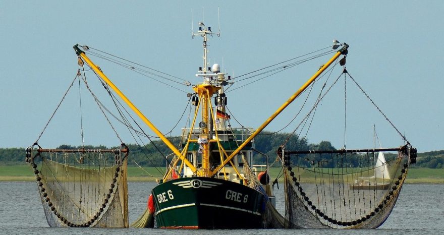 Rinnovabili • Sussidi dannosi alla pesca: l’accordo WTO si applicherà anche alla Cina?