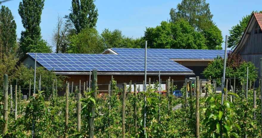 Rinnovabili • Fotovoltaico in agricoltura
