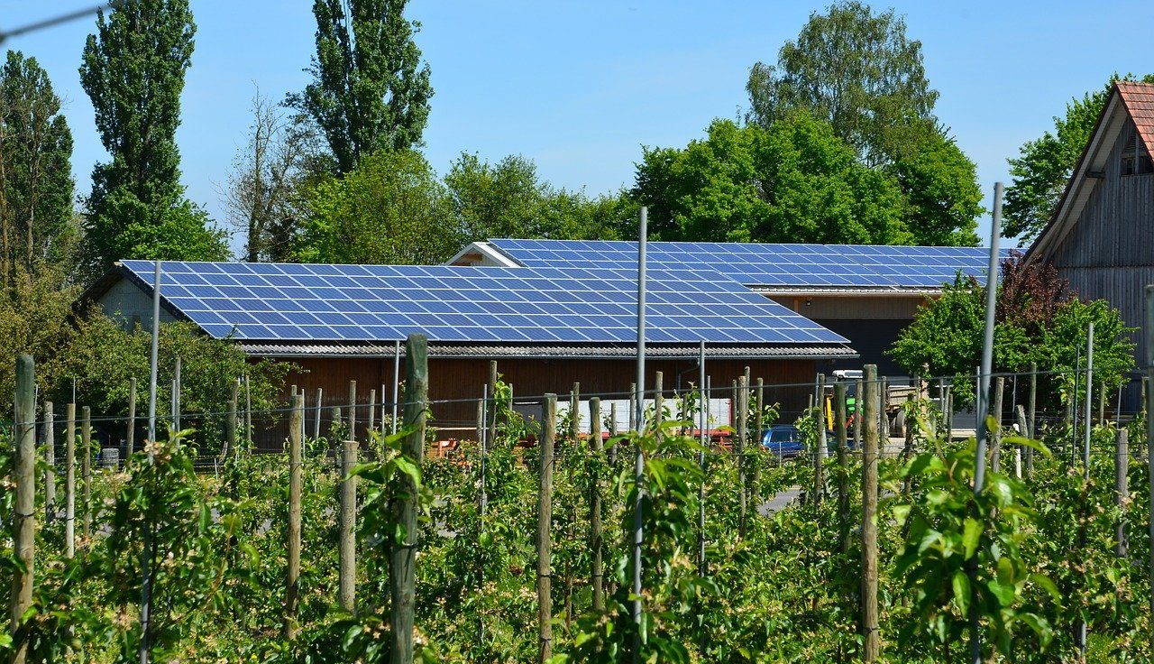Fotovoltaico in agricoltura