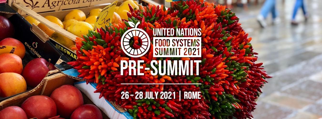 pre food system summit