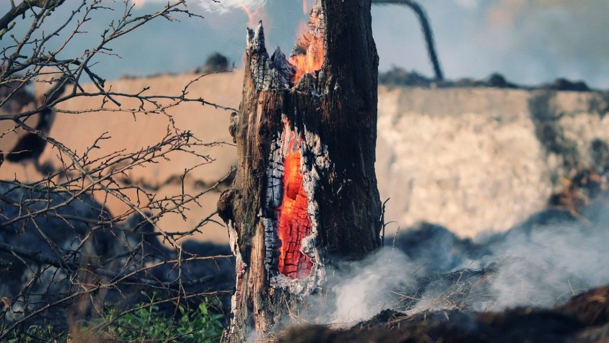Incendi in Sardegna: in fiamme l’Oristanese, già 1.500 sfollati