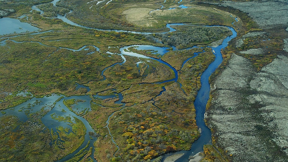 Rinnovabili • Artico: stop al progetto Pebble Mine (e alle trivelle)