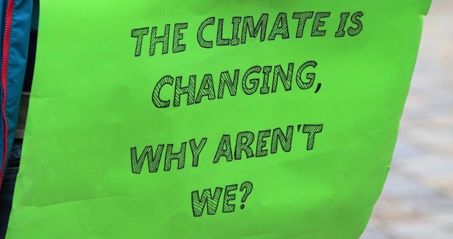 Rinnovabili • Sciopero globale per il clima: tornano in piazza i Fridays for Future