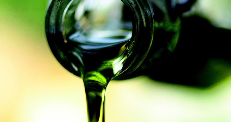Rinnovabili • produzione di olio d’oliva