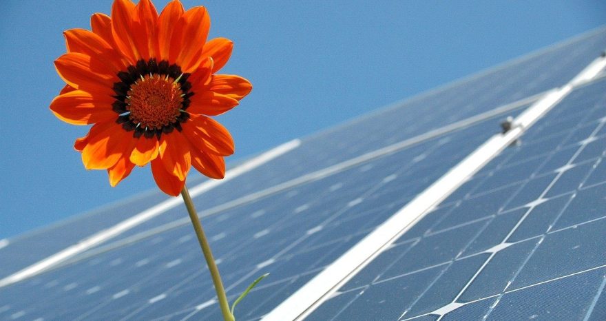 Rinnovabili • falsi miti sul fotovoltaico
