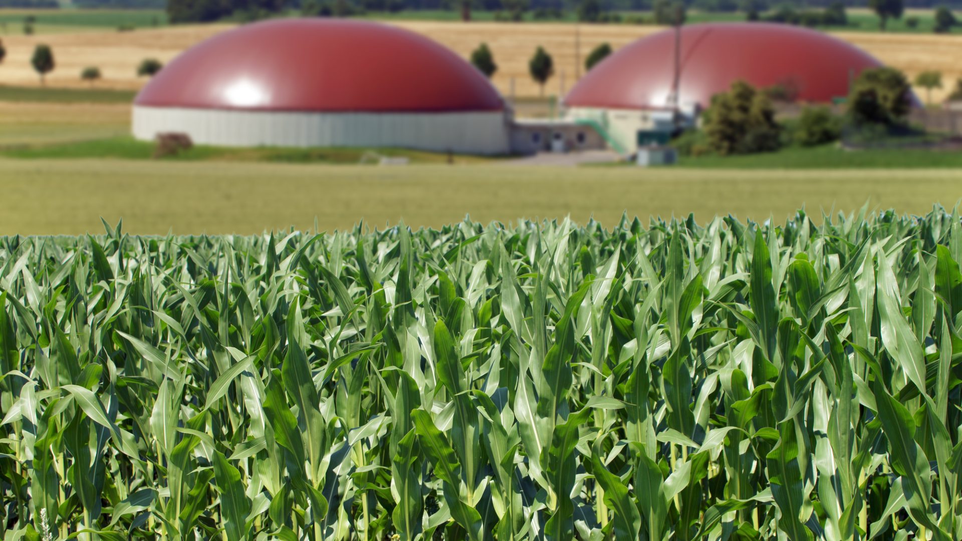 Rinnovabili • biometano agricolo