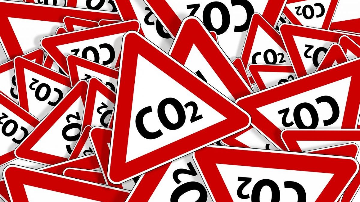 Rinnovabili • rimozione della CO2