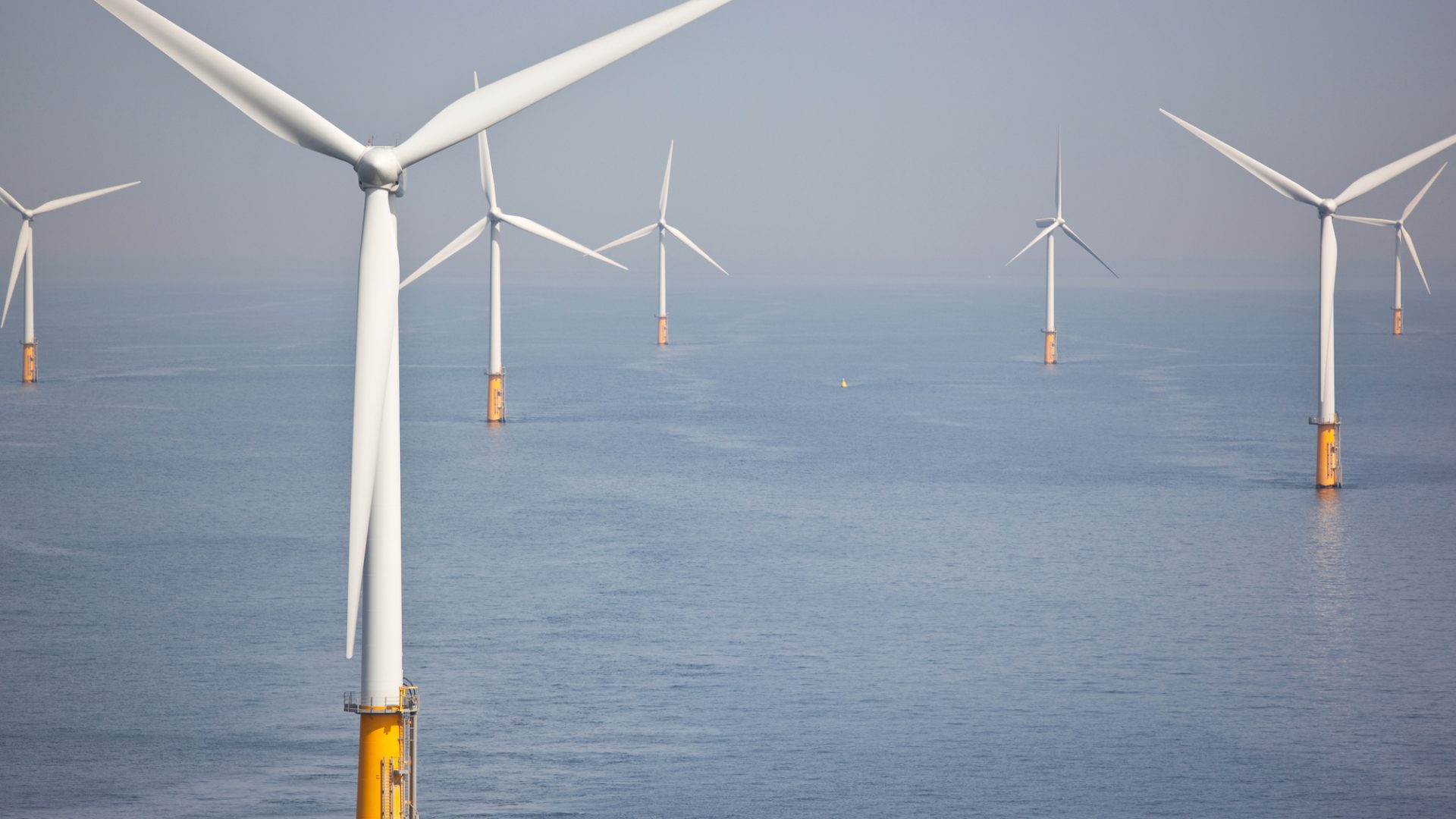 Rinnovabili • eolico offshore scozzese