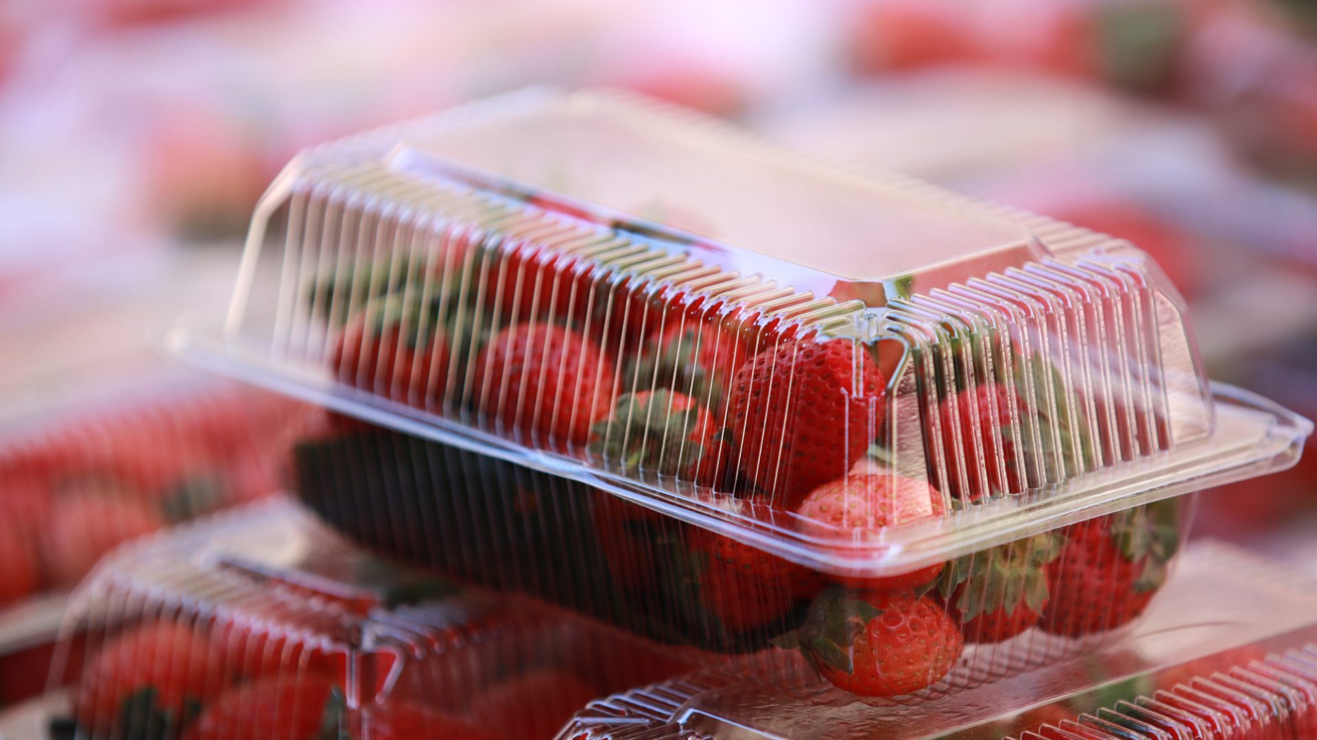 Rinnovabili • Imballaggi in plastica per frutta e verdura