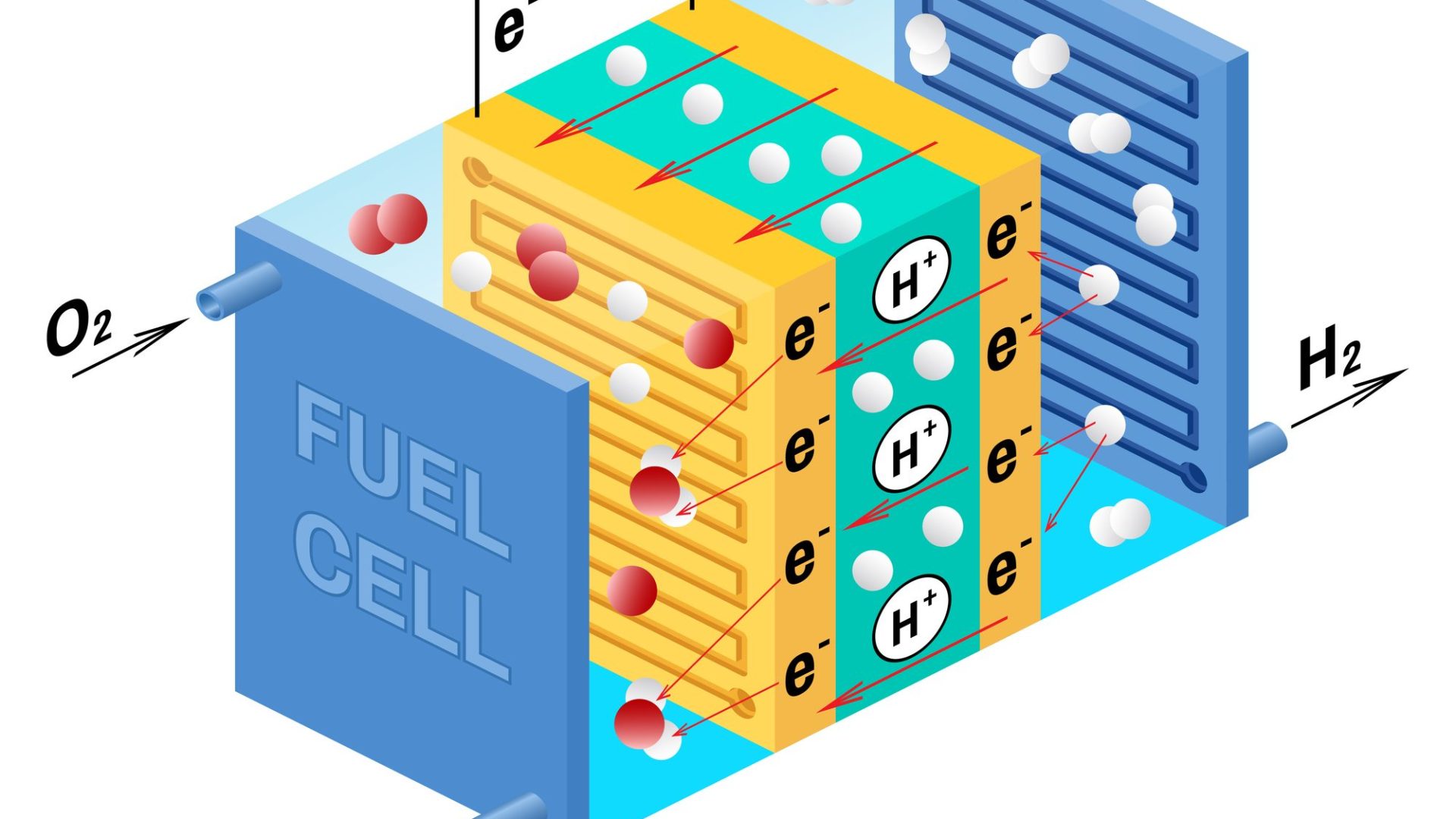 Rinnovabili • fuel cell polimerica