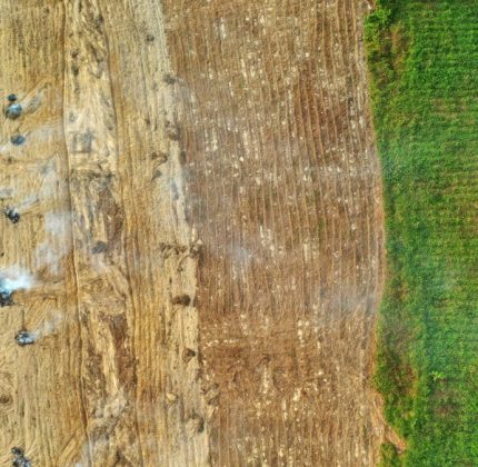 Deforestazione da record: in Amazzonia a gennaio scomparsi 360 km2