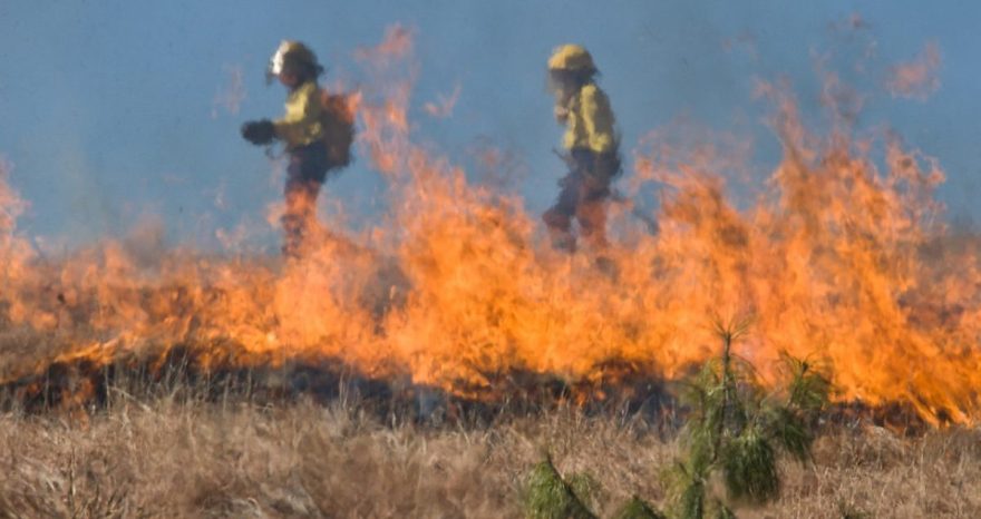 Rinnovabili • Incendi estremi: aumenteranno del 50% entro il 2100