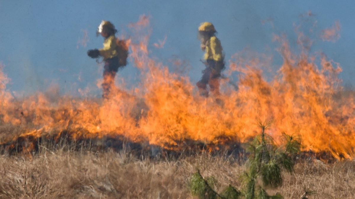 Incendi estremi: aumenteranno del 50% entro il 2100