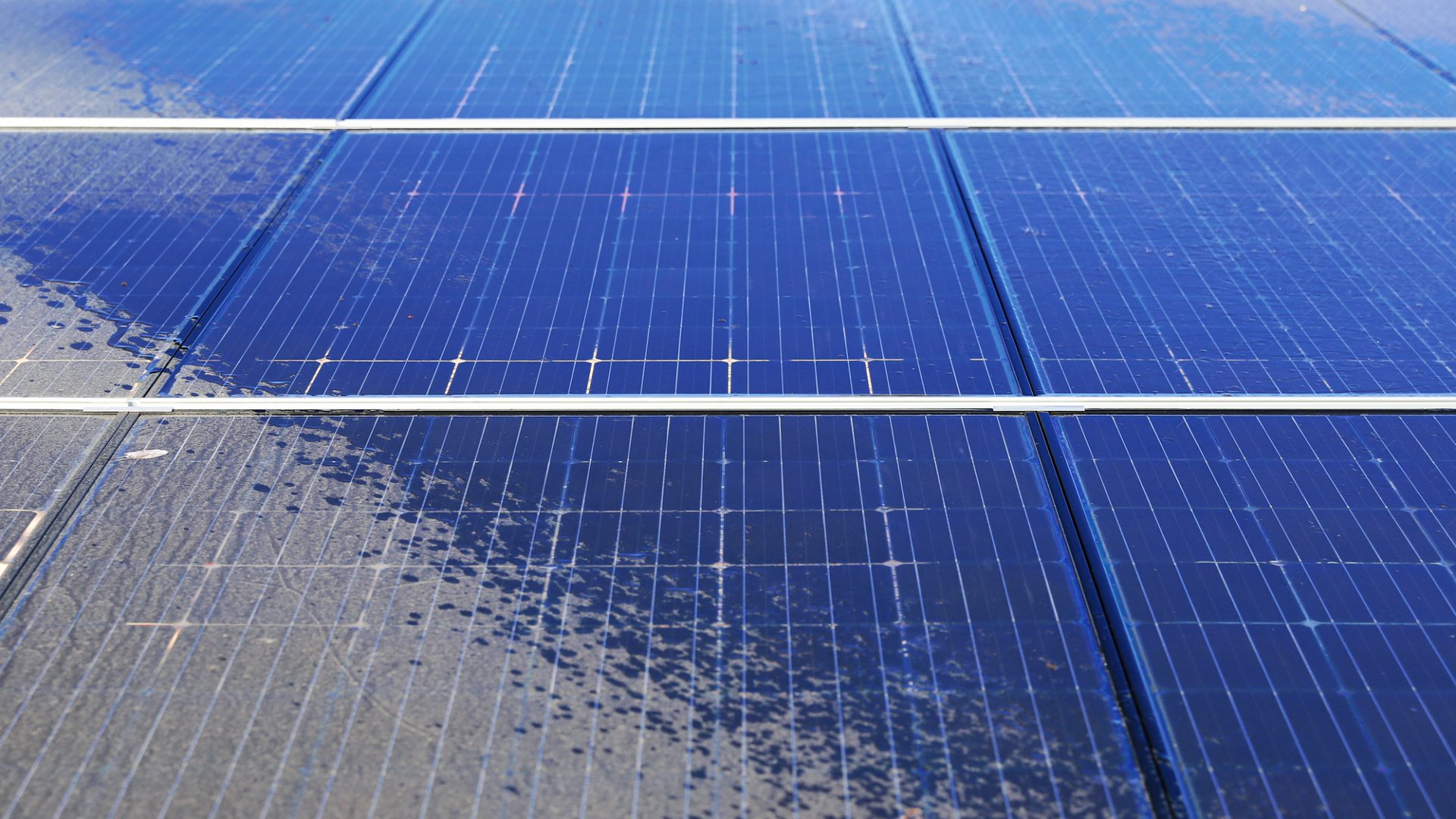 Rinnovabili • Pulire i pannelli solari senza acqua