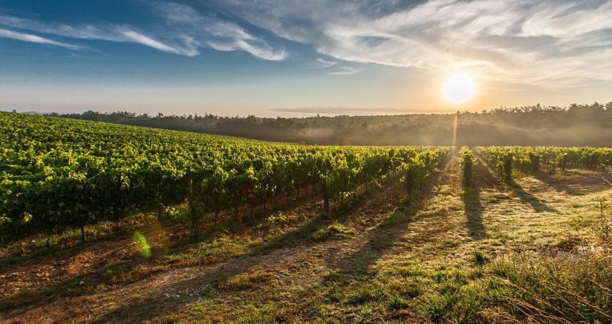 Rinnovabili • Banca Nazionale delle Terre Agricole