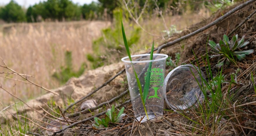 Rinnovabili • alternative alla plastica monouso