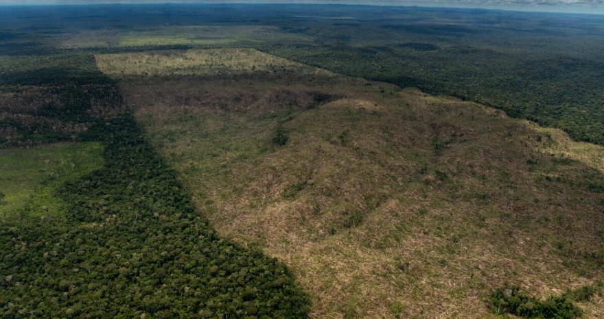 Rinnovabili • Deforestazione in Brasile: è record, scompaiono 1500 campi da calcio al giorno