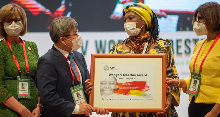 Rinnovabili • Wangari Maathai Forest Champions Award 2022