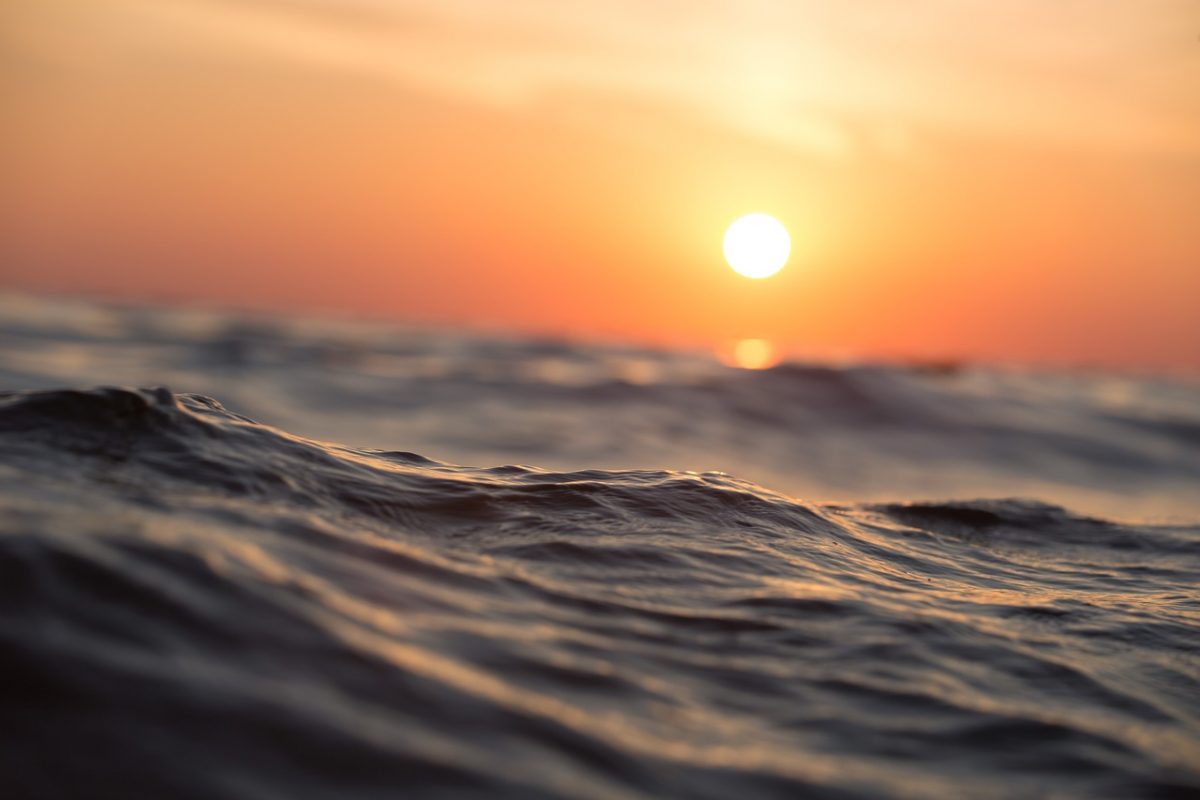 Onde di calore degli oceani: possibile prevederle con 1 anno di anticipo