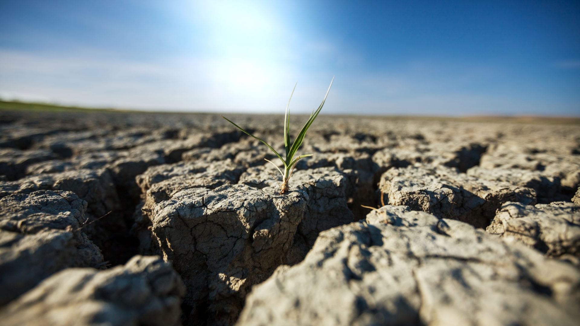 Rinnovabili • Giornata mondiale contro la desertificazione e alla siccità