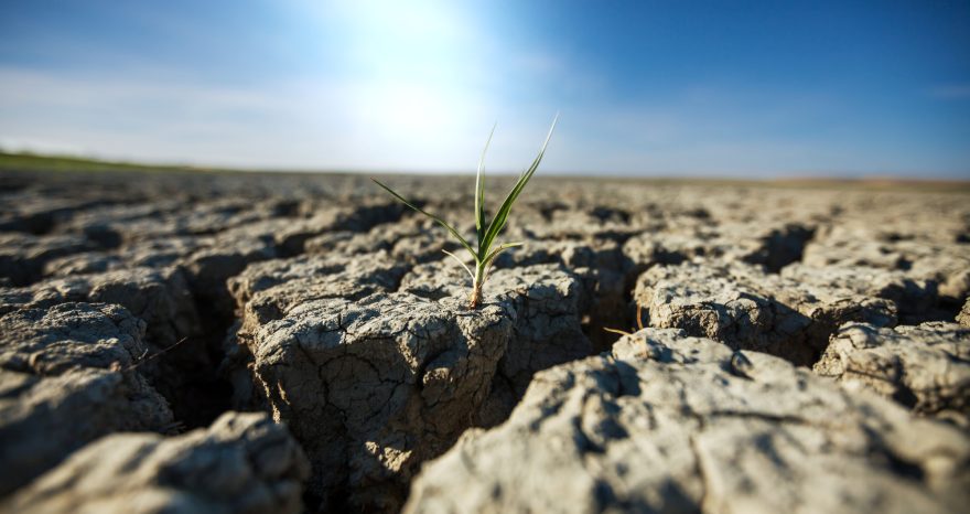 Rinnovabili • Giornata mondiale contro la desertificazione e alla siccità