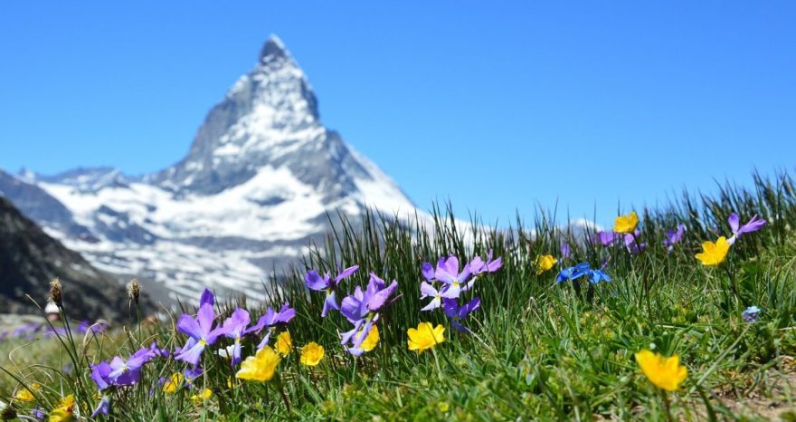 Rinnovabili • Ecosistema montano: cosa succede se le Alpi diventano sempre più verdi?