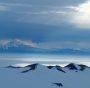 Microplastiche: trovati per la 1° volta frammenti nelle nevi dell’Antartide