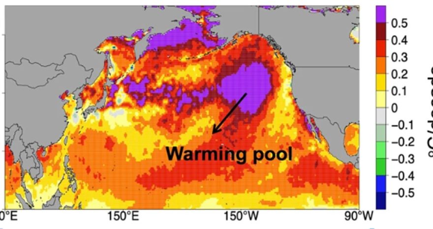 Rinnovabili • Ondate di calore marine: nel Pacifico allungano l’estate di 37 giorni