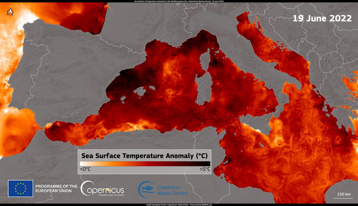 Ondate di calore marino: Mediterraneo rovente come nel 2003