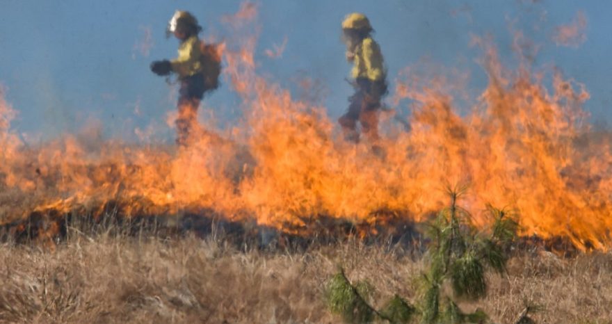 Rinnovabili • Incendi: nell’Europa mediterranea aumentano del 20-30% ogni 10 anni