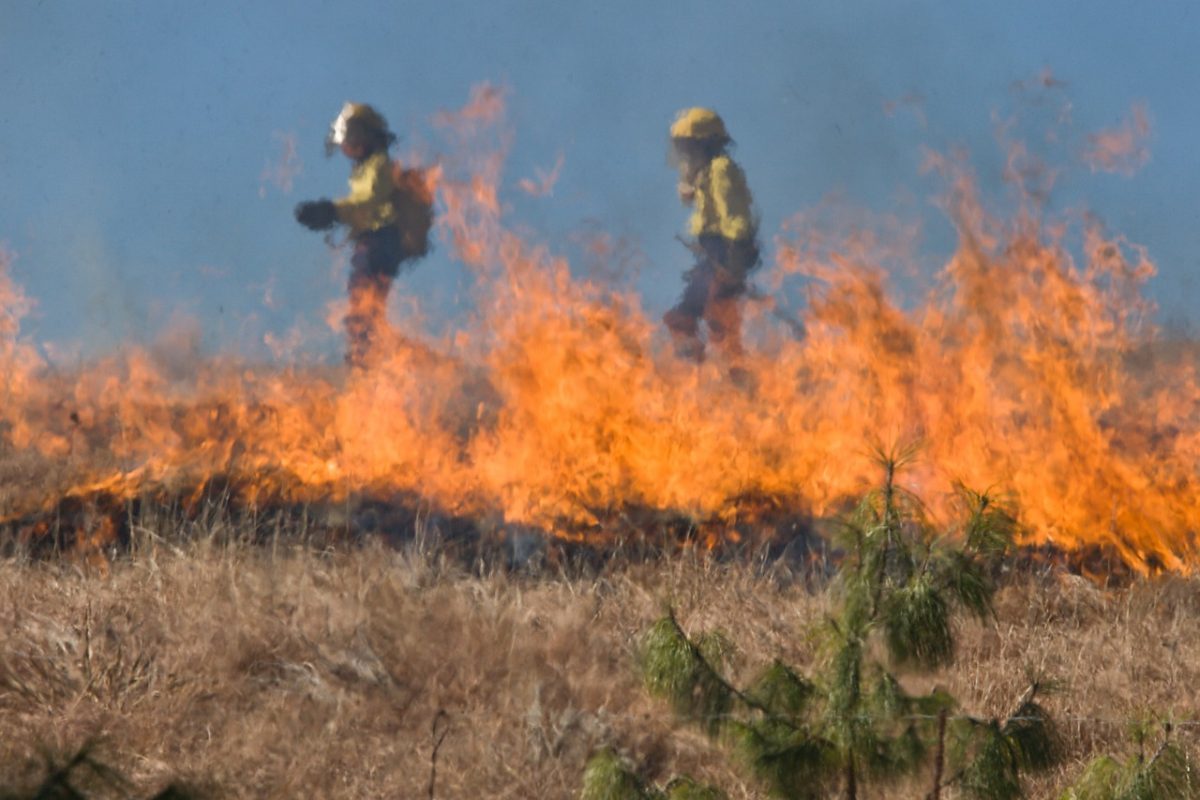 Rinnovabili • Incendi: nell’Europa mediterranea aumentano del 20-30% ogni 10 anni